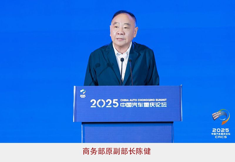 37000Cm威尼斯官方陈健：汽车财产收支口和投融资都应正视效劳商业(图1)